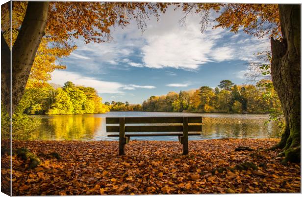 The Bench; Hartsholme Park, Lincoln Canvas Print by Andrew Scott