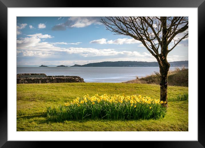 Daffodils Framed Mounted Print by Purple OneTwoEight
