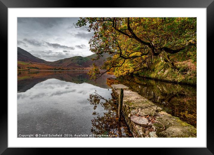 A place to reflect Framed Mounted Print by David Schofield