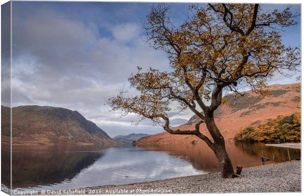 Shores of Crummock Water, The Lake District Canvas Print by David Schofield