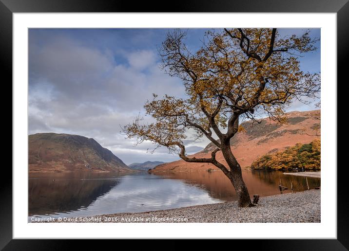Shores of Crummock Water, The Lake District Framed Mounted Print by David Schofield