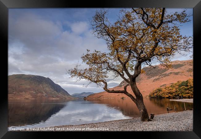 Shores of Crummock Water, The Lake District Framed Print by David Schofield