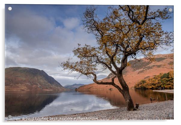 Shores of Crummock Water, The Lake District Acrylic by David Schofield