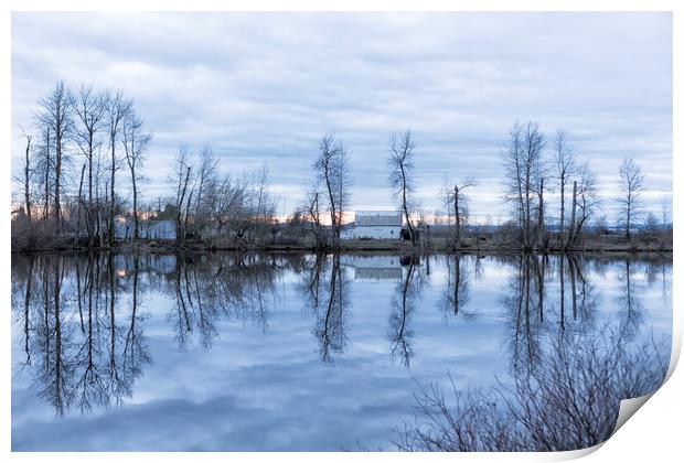 Reflection in Blue Print by Belinda Greb