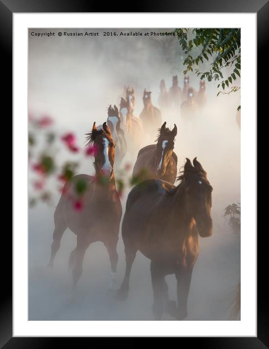Horse Herd Coming Home Framed Mounted Print by Russian Artist 