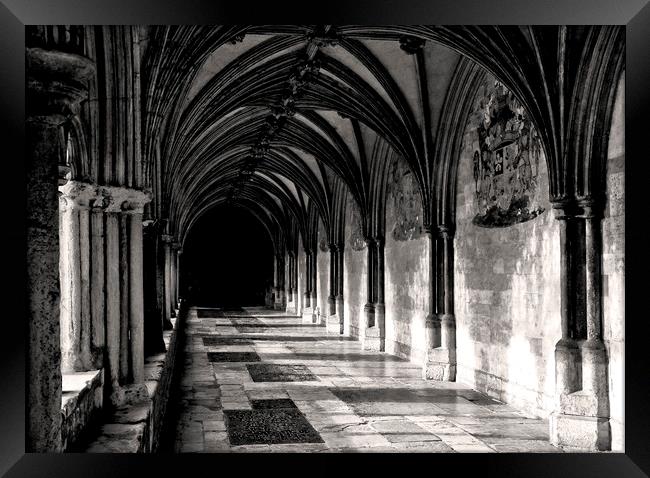 The Cloisters Norwich Cathedral Framed Print by Darren Burroughs