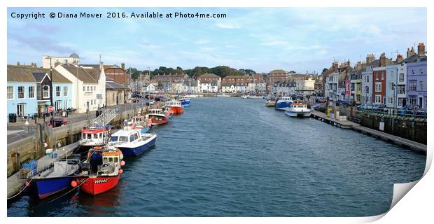 Weymouth Harbour Print by Diana Mower