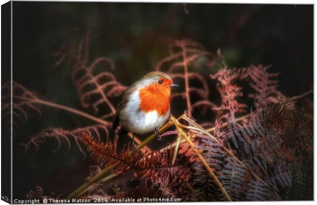 Robin in the ferns Canvas Print by Theresa Watson