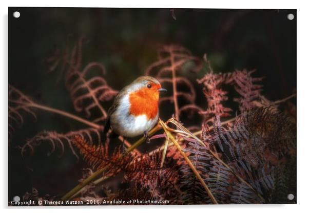 Robin in the ferns Acrylic by Theresa Watson
