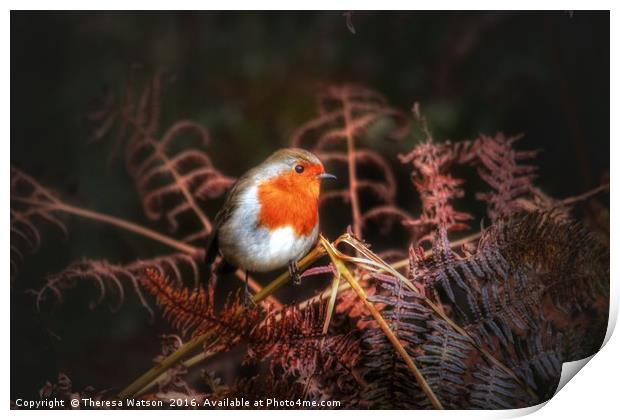 Robin in the ferns Print by Theresa Watson