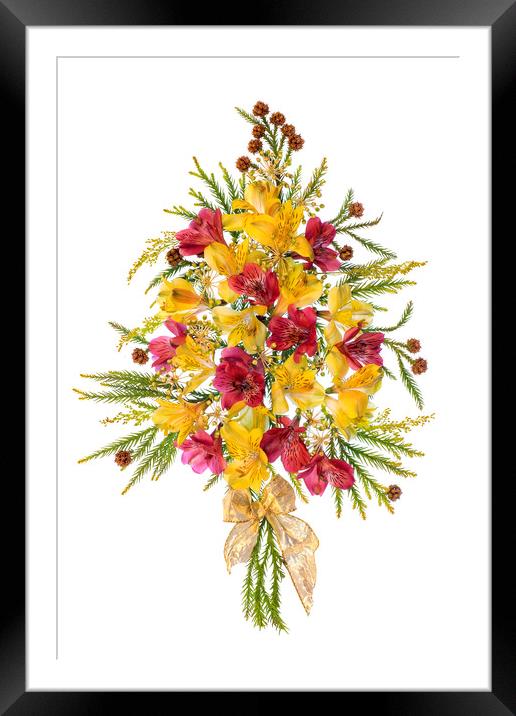 Peruvian Lily Christmas tree Framed Mounted Print by Jacky Parker