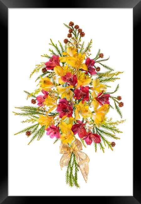 Peruvian Lily Christmas tree Framed Print by Jacky Parker