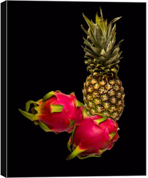 Pineapple and Dragon Fruit Canvas Print by David French