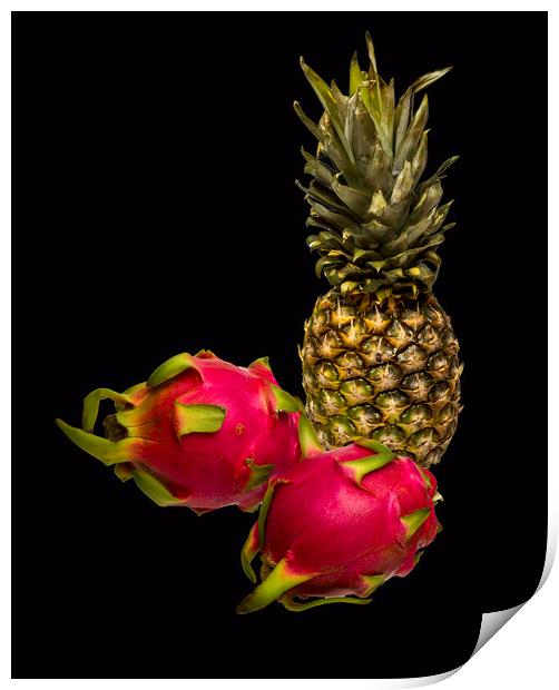 Pineapple and Dragon Fruit Print by David French
