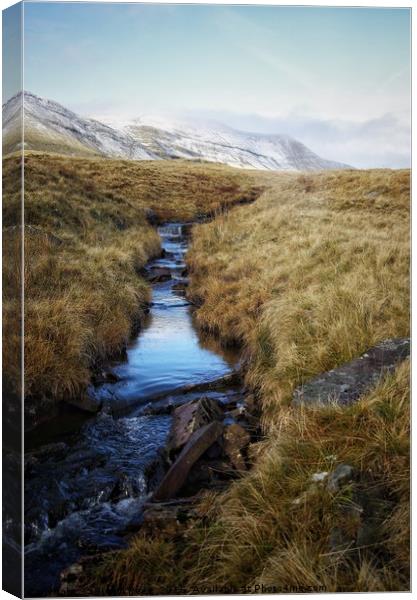 On route to Llyn Y Fan Fach  Canvas Print by Simon Rees