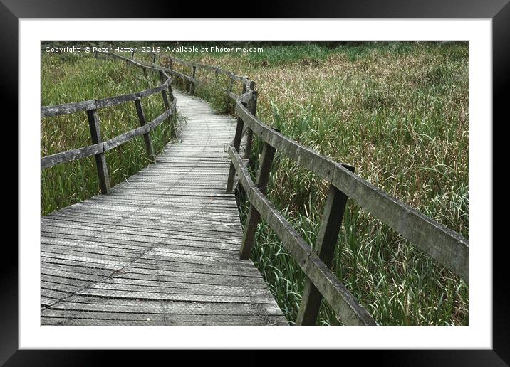 A wooden bridge Framed Mounted Print by Peter Hatter