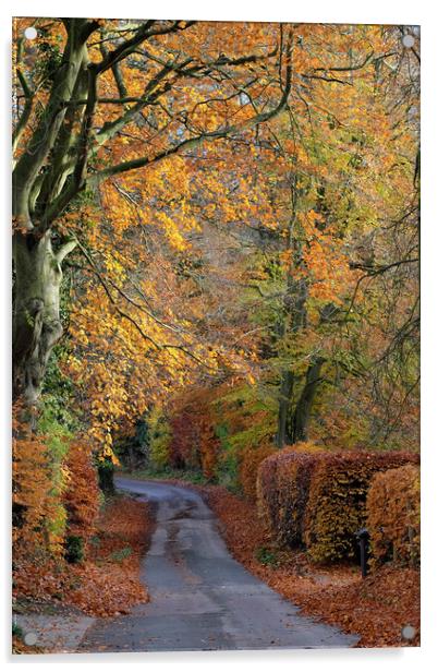 Country Lane autumn colours Acrylic by Tony Bates