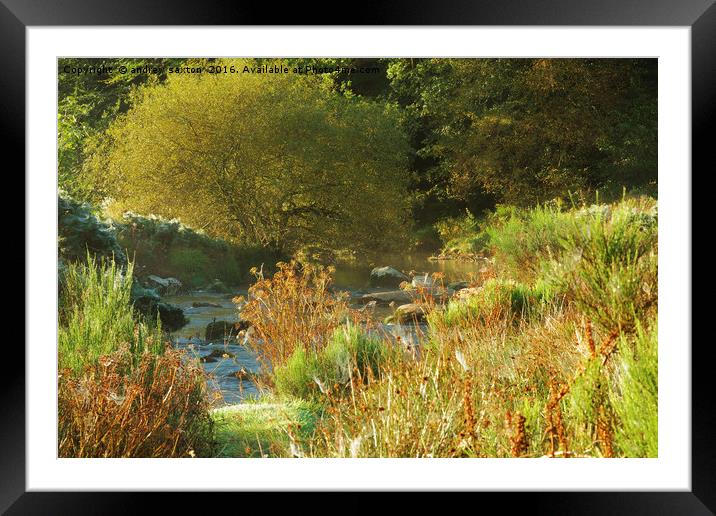 LONG GRASS Framed Mounted Print by andrew saxton