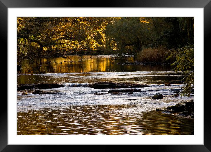 River of gold Framed Mounted Print by Jim Jones