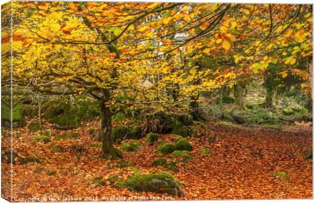 Autumn Woodland Burrator Reservoir Dartmoor Canvas Print by Nick Jenkins