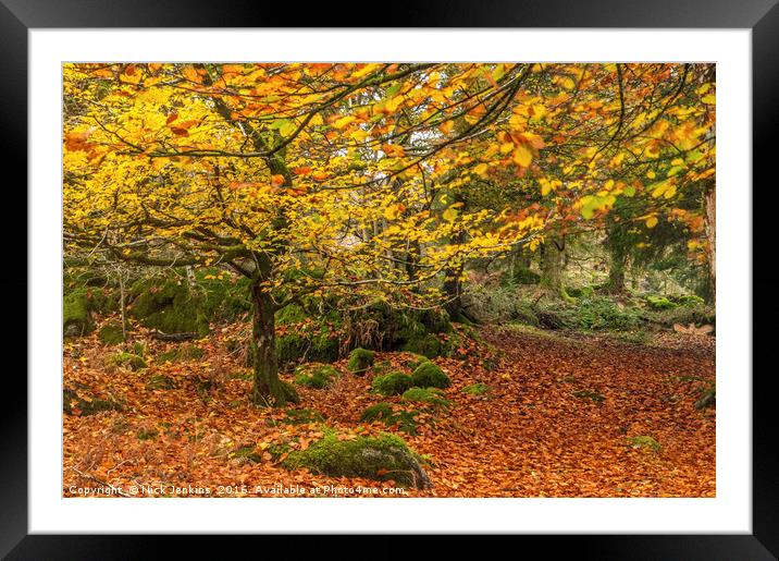 Autumn Woodland Burrator Reservoir Dartmoor Framed Mounted Print by Nick Jenkins