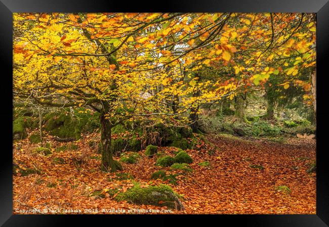 Autumn Woodland Burrator Reservoir Dartmoor Framed Print by Nick Jenkins