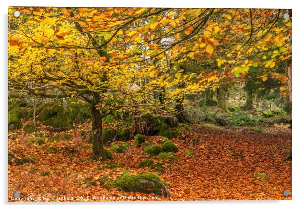 Autumn Woodland Burrator Reservoir Dartmoor Acrylic by Nick Jenkins