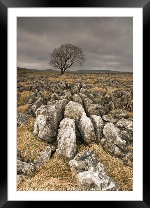 Winter Tree at Malham Moor Framed Mounted Print by Nick Jenkins