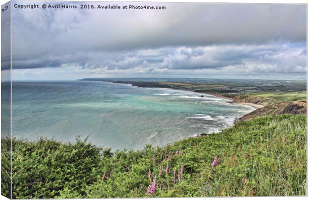 Widemouth Bay in North Cornwall Canvas Print by Avril Harris