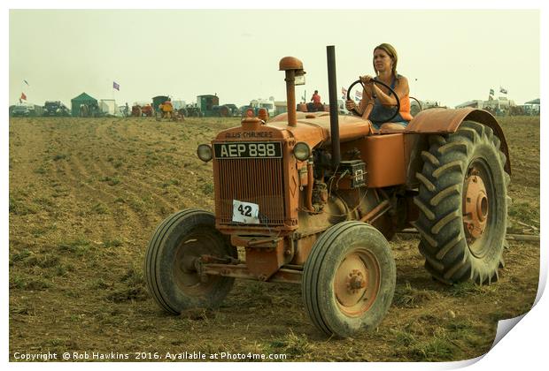 Allis Girl  Print by Rob Hawkins