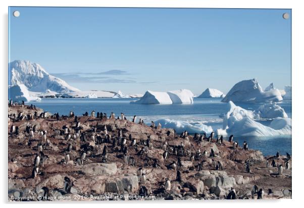 Penguins in the Antarctic Acrylic by maria munn