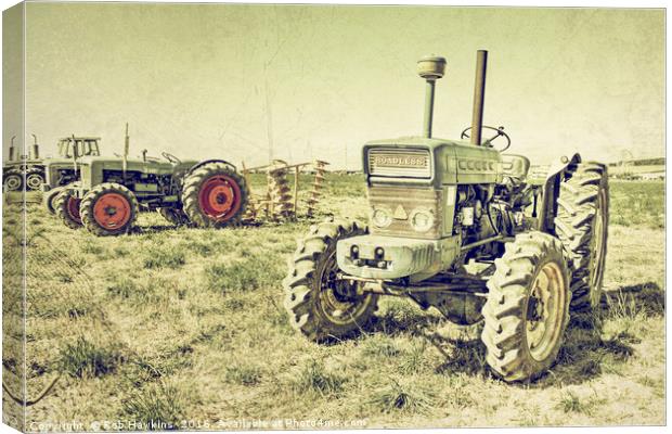 The Old Roadless  Canvas Print by Rob Hawkins