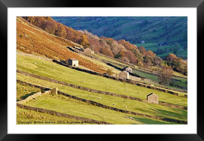 Yorkshire Dales Barns Angram Swaledale  Framed Mounted Print by Nick Jenkins