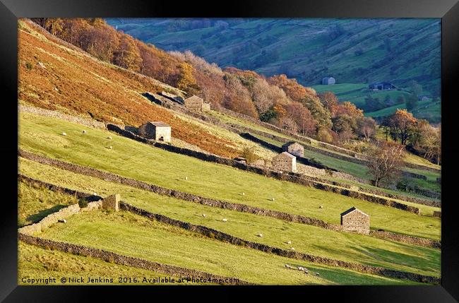 Yorkshire Dales Barns Angram Swaledale  Framed Print by Nick Jenkins