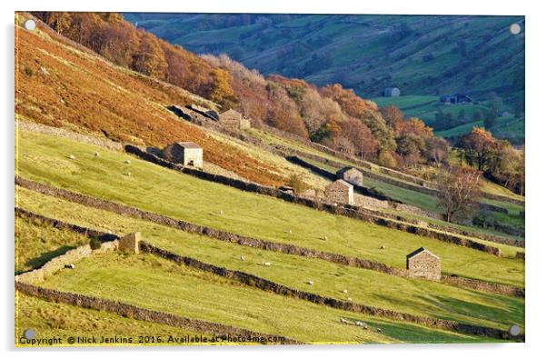 Yorkshire Dales Barns Angram Swaledale  Acrylic by Nick Jenkins