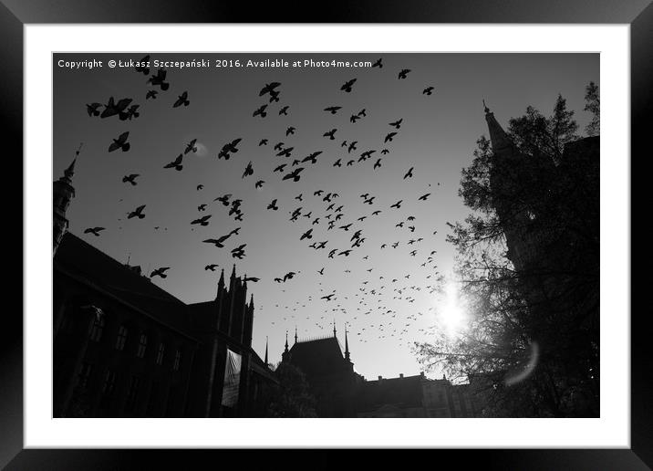 Pigeons flying over Torun city, Poland Framed Mounted Print by Łukasz Szczepański