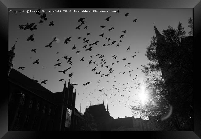 Pigeons flying over Torun city, Poland Framed Print by Łukasz Szczepański