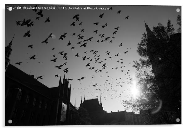 Pigeons flying over Torun city, Poland Acrylic by Łukasz Szczepański