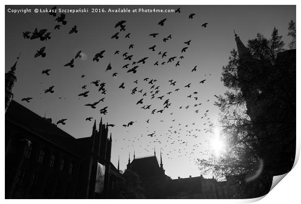 Pigeons flying over Torun city, Poland Print by Łukasz Szczepański