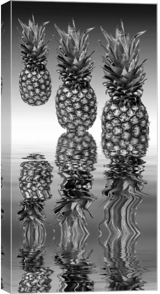 Fresh ripe pineapple fruits Canvas Print by David French