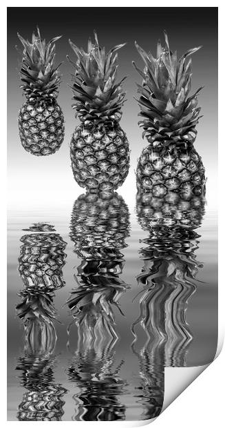 Fresh ripe pineapple fruits Print by David French