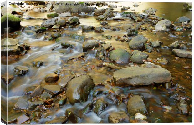 SLOW ROCKY WATER Canvas Print by andrew saxton
