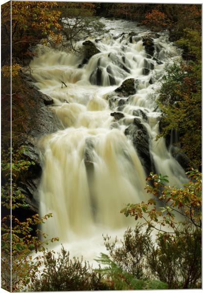 THE WATERFALL Canvas Print by andrew saxton