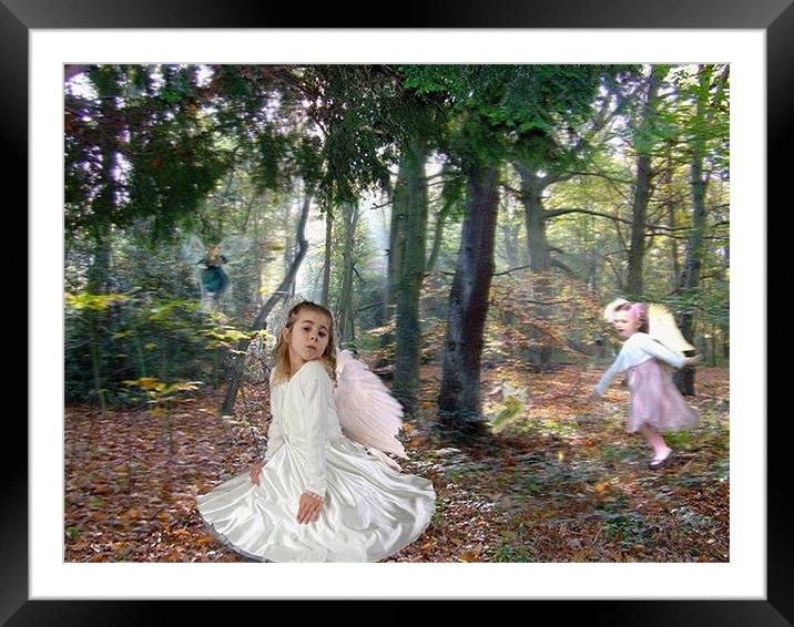 Fairies in the wood Framed Mounted Print by Mark Hobson