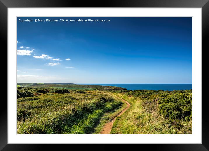 Coastal Path, Cornwall Framed Mounted Print by Mary Fletcher