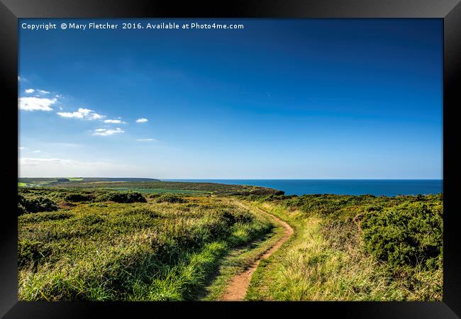 Coastal Path, Cornwall Framed Print by Mary Fletcher