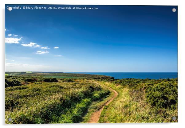 Coastal Path, Cornwall Acrylic by Mary Fletcher