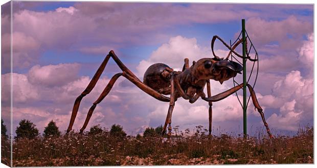Giant Ant Canvas Print by Chris Thaxter