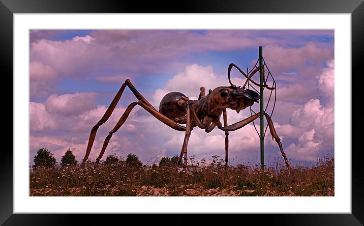 Giant Ant Framed Mounted Print by Chris Thaxter