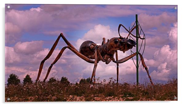 Giant Ant Acrylic by Chris Thaxter